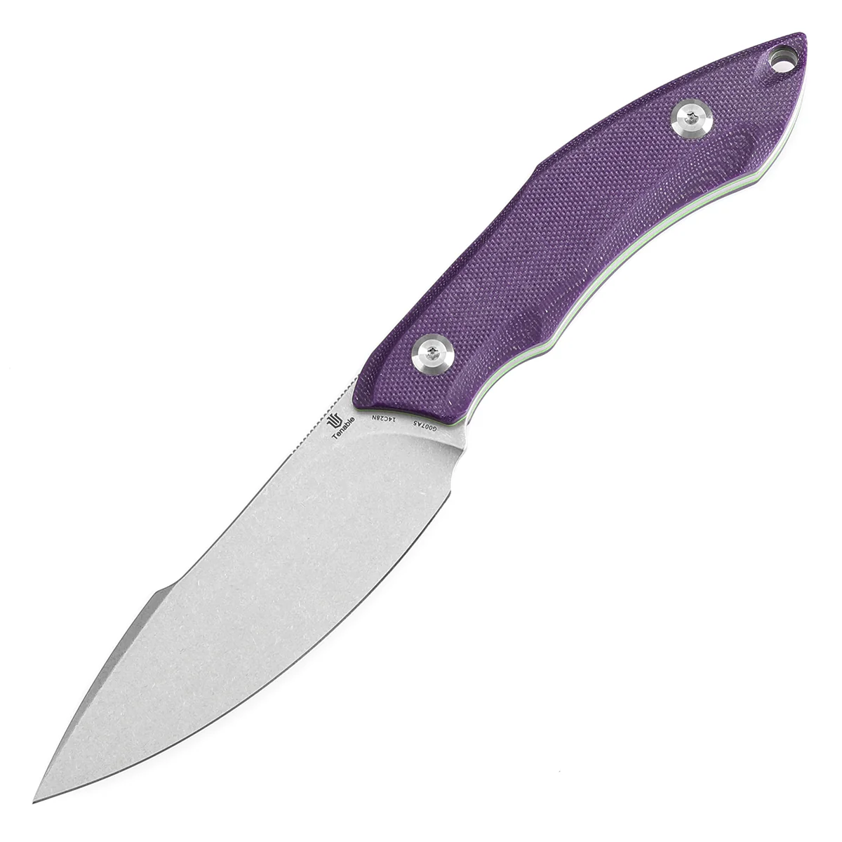 Tenable Luccio Fixed Blade Knife with Purple G10 Handle (3.81" Stonewashed 14C28N Blade) - Bolt Vision Design - G007A5 - Image 2