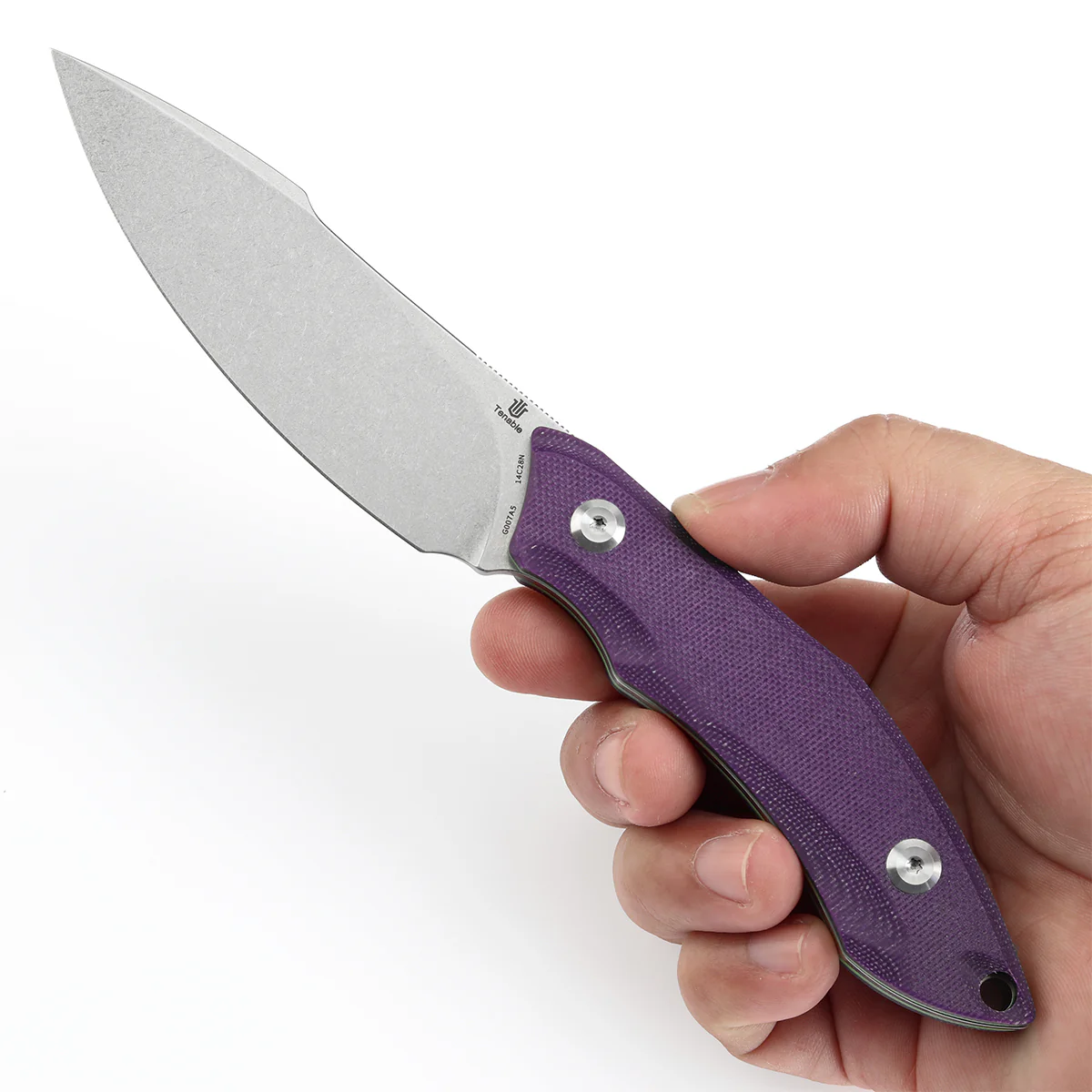Tenable Luccio Fixed Blade Knife with Purple G10 Handle (3.81" Stonewashed 14C28N Blade) - Bolt Vision Design - G007A5 - Image 7